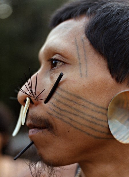 Tatouage tribal indigène à rayures